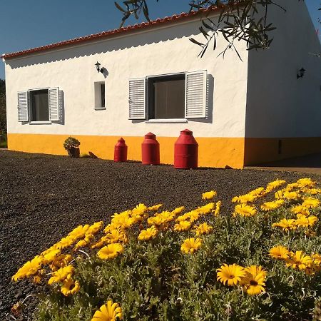 Monte Quinta Verde Ferreira Do Alentejo Exteriér fotografie