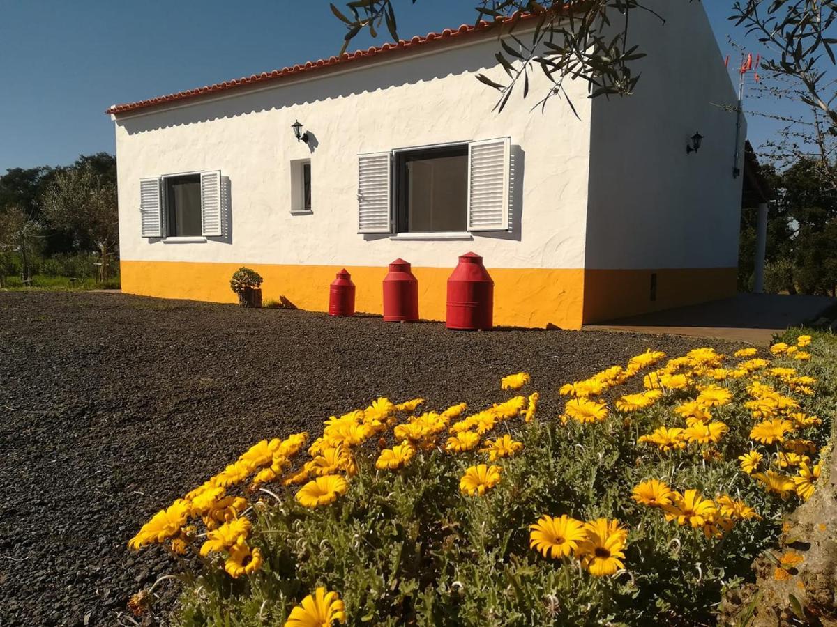 Monte Quinta Verde Ferreira Do Alentejo Exteriér fotografie