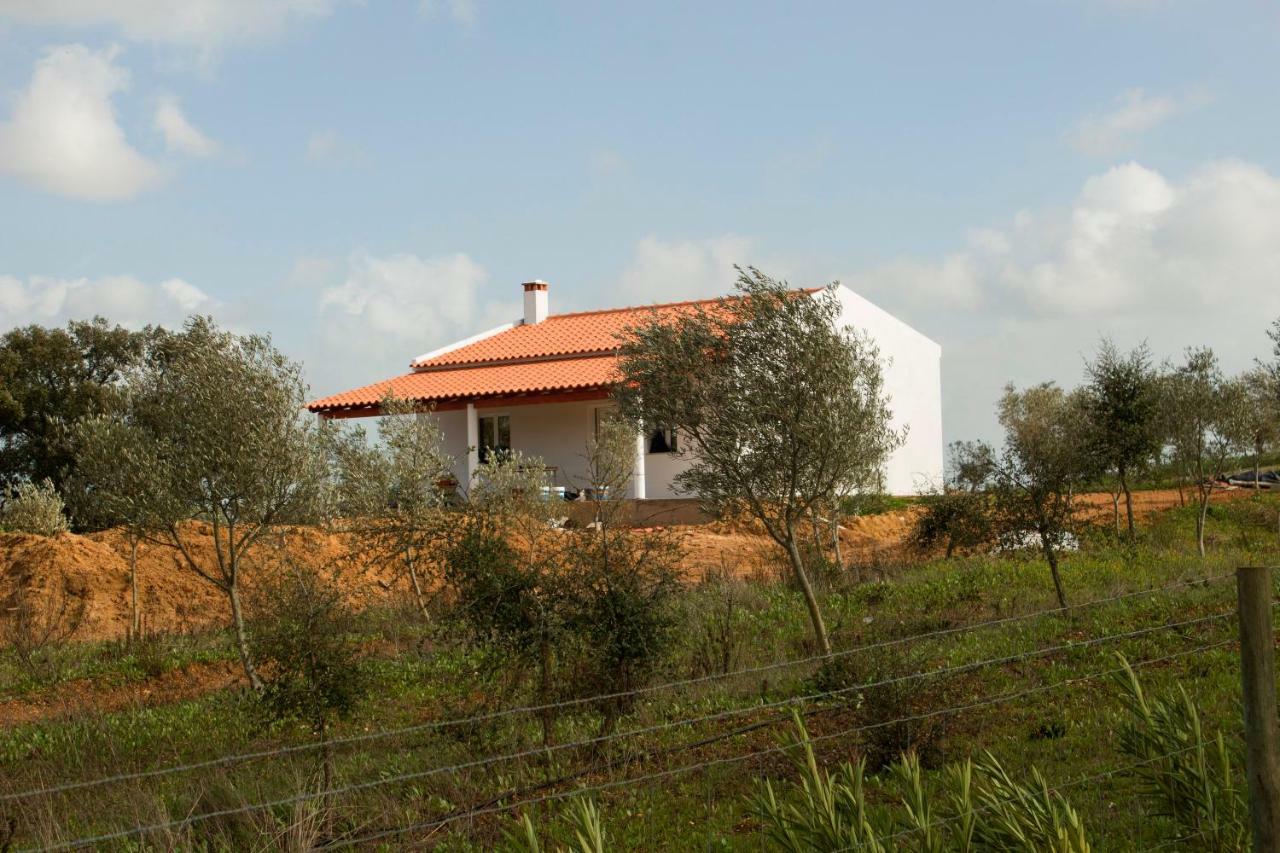 Monte Quinta Verde Ferreira Do Alentejo Exteriér fotografie
